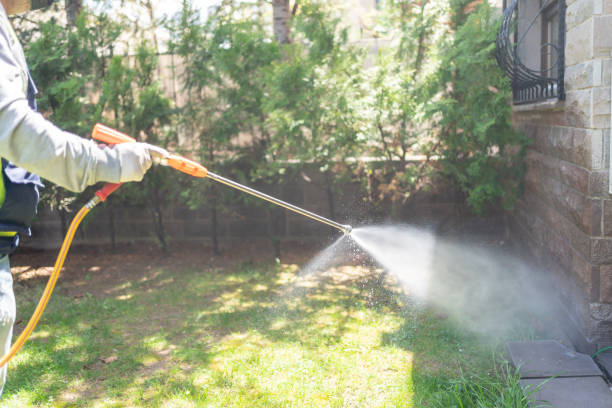 Best Pest Control Near Me in Moraga, CA