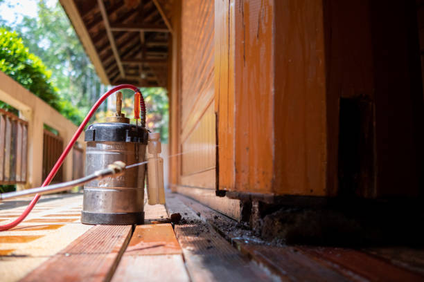 Pest Control for Restaurants in Moraga, CA