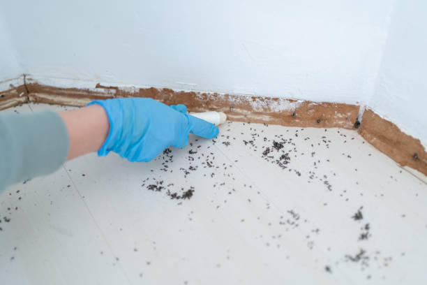Best Commercial Pest Control Services  in Moraga, CA